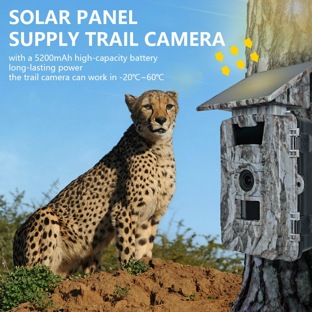 Cámara de caza Solar WiFi 4K 6 - Outdoor Hunting Photography reseña y precio