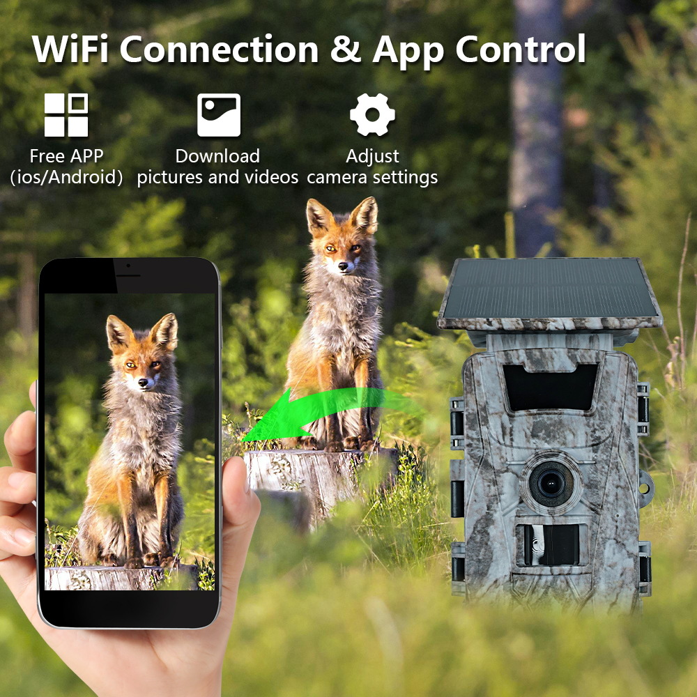 Cámara de caza Solar WiFi 4K 6 - Outdoor Hunting Photography reseña y precio